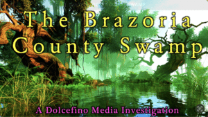 The Brazoria County Swamp