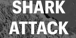 Shark Attack