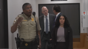 The Billionaire Bully